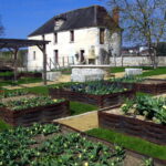 Book a private guide in Chateau Thierry