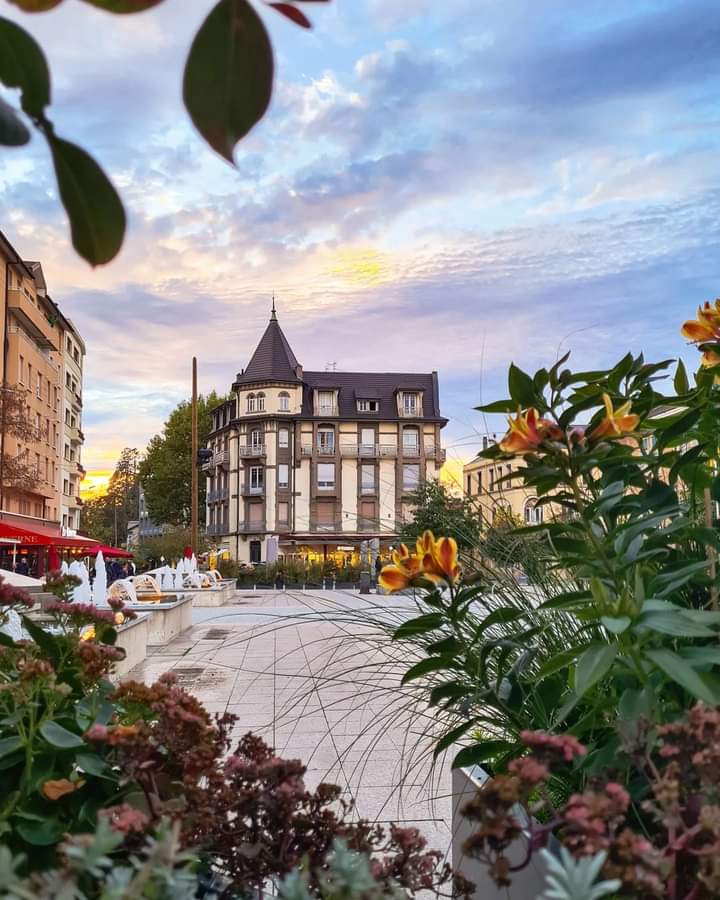 Book a private guide in Annemasse