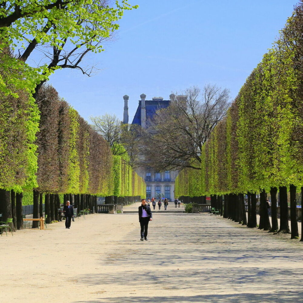 Tuilerie Garden